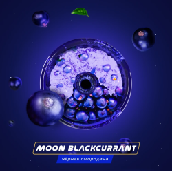 Паста Space Smoke BASIC Moon  Blackcurrant (Черная  смородина) 30 гр