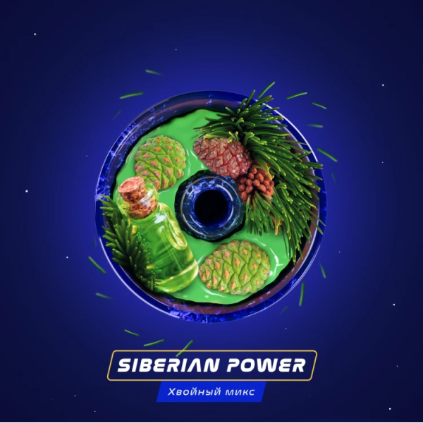 Паста Space Smoke BASIC Siberian Power (Хвоя Сосна Пихта) 30 гр в Норильске